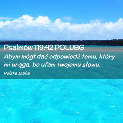Picture 02 - Psalmów 119:42 POLUBG - Abym mógł dać odpowiedź temu, który mi - Bible Verse Picture