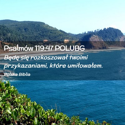 Picture 02 - Psalmów 119:47 POLUBG - Będę się rozkoszował twoimi przykazaniami, - Bible Verse Picture