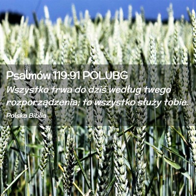 Picture 02 - Psalmów 119:91 POLUBG - Wszystko trwa do dziś według twego - Bible Verse Picture