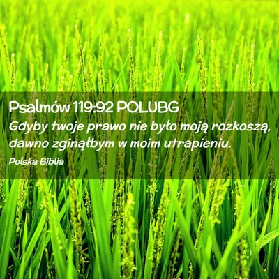 Picture 02 - Psalmów 119:92 POLUBG - Gdyby twoje prawo nie było moją rozkoszą, - Bible Verse Picture