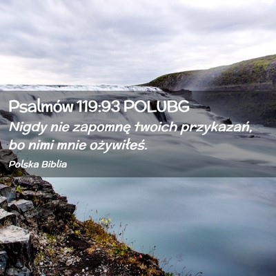 Picture 02 - Psalmów 119:93 POLUBG - Nigdy nie zapomnę twoich przykazań, bo nimi - Bible Verse Picture