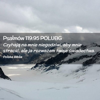 Picture 02 - Psalmów 119:95 POLUBG - Czyhają na mnie niegodziwi, aby mnie stracić, - Bible Verse Picture