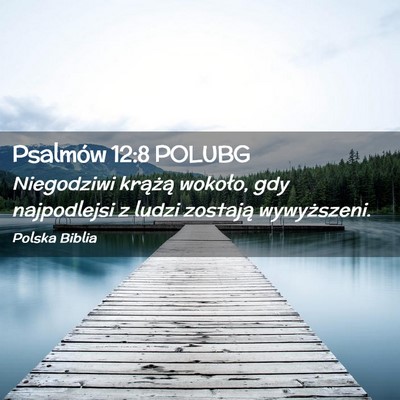 Picture 02 - Psalmów 12:8 POLUBG - Niegodziwi krążą wokoło, gdy najpodlejsi z - Bible Verse Picture