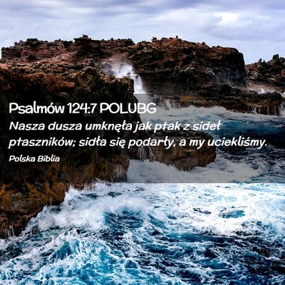 Picture 02 - Psalmów 124:7 POLUBG - Nasza dusza umknęła jak ptak z sideł - Bible Verse Picture