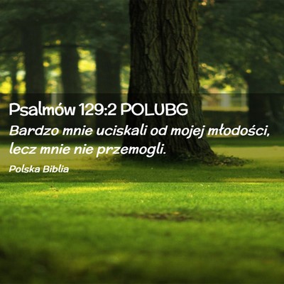 Picture 02 - Psalmów 129:2 POLUBG - Bardzo mnie uciskali od mojej młodości, lecz - Bible Verse Picture