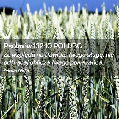 Picture 02 - Psalmów 132:10 POLUBG - Ze względu na Dawida, twego sługę, nie - Bible Verse Picture
