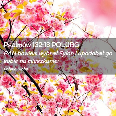Picture 02 - Psalmów 132:13 POLUBG - PAN bowiem wybrał Syjon i upodobał go sobie na - Bible Verse Picture