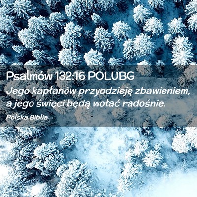 Picture 02 - Psalmów 132:16 POLUBG - Jego kapłanów przyodzieję zbawieniem, a jego - Bible Verse Picture