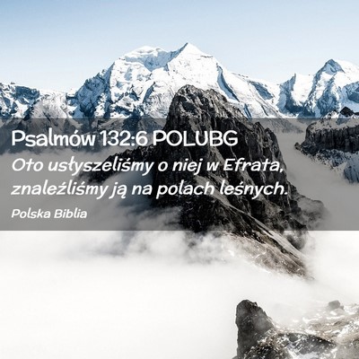 Picture 02 - Psalmów 132:6 POLUBG - Oto usłyszeliśmy o niej w Efrata, znaleźliśmy - Bible Verse Picture