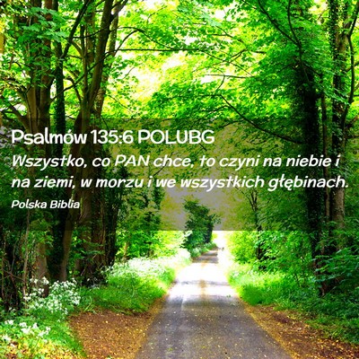 Picture 02 - Psalmów 135:6 POLUBG - Wszystko, co PAN chce, to czyni na niebie i na - Bible Verse Picture