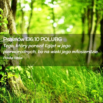 Picture 02 - Psalmów 136:10 POLUBG - Tego, który poraził Egipt w jego pierworodnych, - Bible Verse Picture