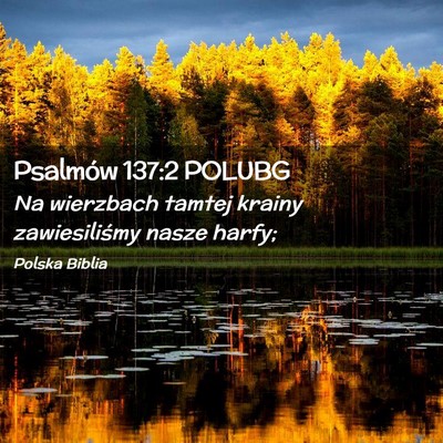 Picture 02 - Psalmów 137:2 POLUBG - Na wierzbach tamtej krainy zawiesiliśmy nasze - Bible Verse Picture