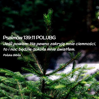 Picture 02 - Psalmów 139:11 POLUBG - Jeśli powiem: Na pewno zakryją mnie ciemności, - Bible Verse Picture