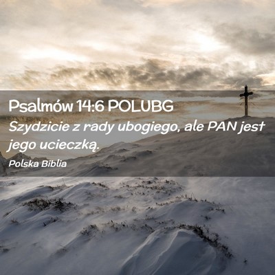 Picture 02 - Psalmów 14:6 POLUBG - Szydzicie z rady ubogiego, ale PAN jest jego - Bible Verse Picture