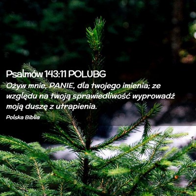 Picture 02 - Psalmów 143:11 POLUBG - Ożyw mnie, PANIE, dla twojego imienia; ze - Bible Verse Picture