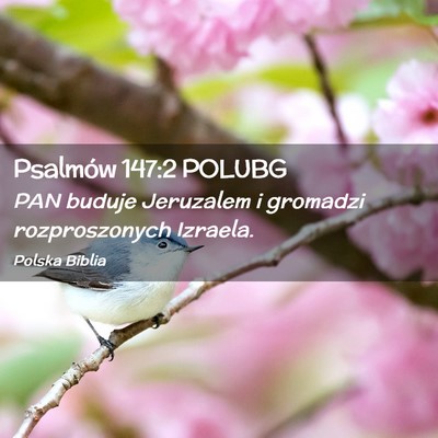 Picture 02 - Psalmów 147:2 POLUBG - PAN buduje Jeruzalem i gromadzi rozproszonych - Bible Verse Picture