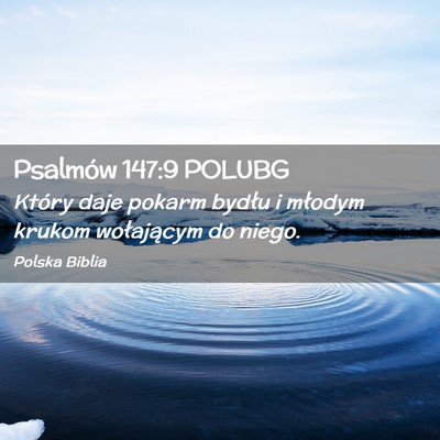 Picture 02 - Psalmów 147:9 POLUBG - Który daje pokarm bydłu i młodym krukom - Bible Verse Picture