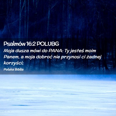 Picture 02 - Psalmów 16:2 POLUBG - Moja dusza mówi do PANA: Ty jesteś moim Panem, - Bible Verse Picture