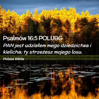 Picture 02 - Psalmów 16:5 POLUBG - PAN jest udziałem mego dziedzictwa i kielicha; - Bible Verse Picture