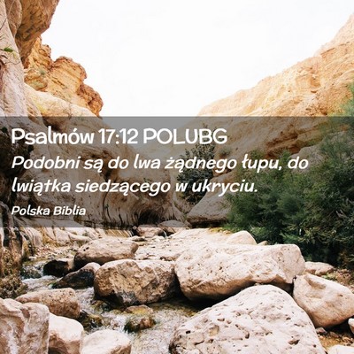 Picture 02 - Psalmów 17:12 POLUBG - Podobni są do lwa żądnego łupu, do lwiątka - Bible Verse Picture