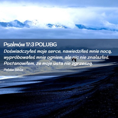 Picture 02 - Psalmów 17:3 POLUBG - Doświadczyłeś moje serce, nawiedziłeś mnie - Bible Verse Picture