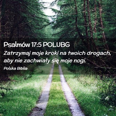 Picture 02 - Psalmów 17:5 POLUBG - Zatrzymaj moje kroki na twoich drogach, aby nie - Bible Verse Picture