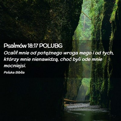 Picture 02 - Psalmów 18:17 POLUBG - Ocalił mnie od potężnego wroga mego i od tych, - Bible Verse Picture