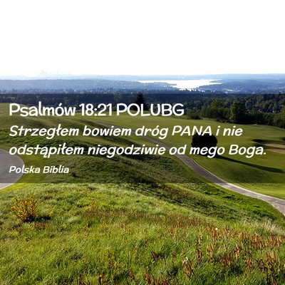 Picture 02 - Psalmów 18:21 POLUBG - Strzegłem bowiem dróg PANA i nie odstąpiłem - Bible Verse Picture