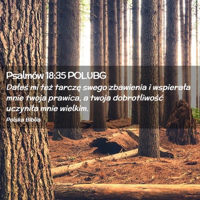 Picture 02 - Psalmów 18:35 POLUBG - Dałeś mi też tarczę swego zbawienia i - Bible Verse Picture