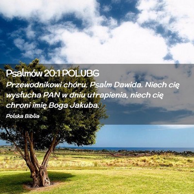 Picture 02 - Psalmów 20:1 POLUBG - Przewodnikowi chóru. Psalm Dawida. Niech cię - Bible Verse Picture