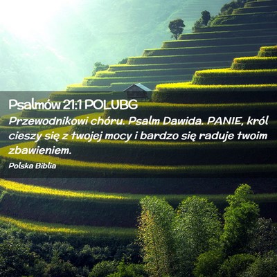 Picture 02 - Psalmów 21:1 POLUBG - Przewodnikowi chóru. Psalm Dawida. PANIE, król - Bible Verse Picture