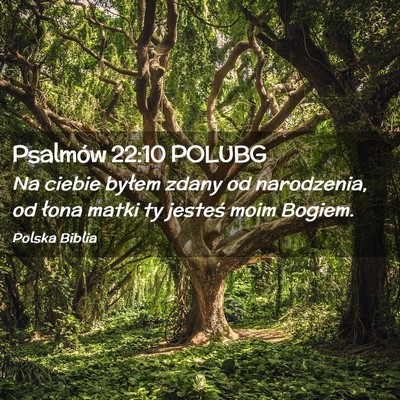 Picture 02 - Psalmów 22:10 POLUBG - Na ciebie byłem zdany od narodzenia, od łona - Bible Verse Picture