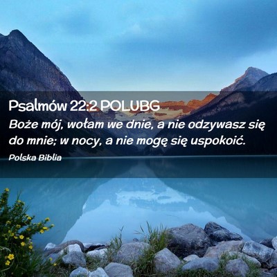 Picture 02 - Psalmów 22:2 POLUBG - Boże mój, wołam we dnie, a nie odzywasz się - Bible Verse Picture