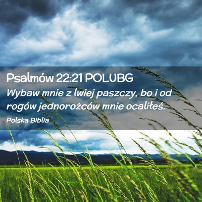 Picture 02 - Psalmów 22:21 POLUBG - Wybaw mnie z lwiej paszczy, bo i od rogów - Bible Verse Picture
