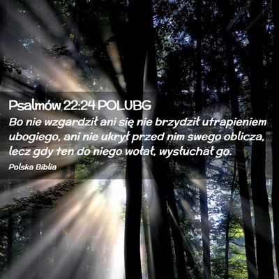 Picture 02 - Psalmów 22:24 POLUBG - Bo nie wzgardził ani się nie brzydził - Bible Verse Picture