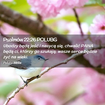 Picture 02 - Psalmów 22:26 POLUBG - Ubodzy będą jeść i nasycą się, chwalić - Bible Verse Picture
