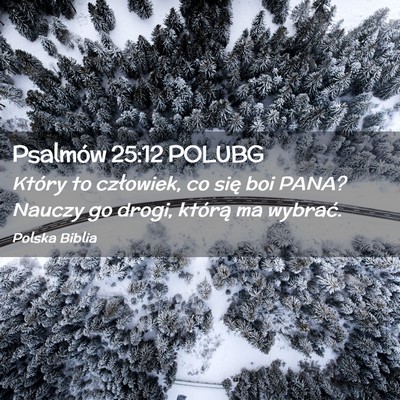Picture 02 - Psalmów 25:12 POLUBG - Który to człowiek, co się boi PANA? Nauczy go - Bible Verse Picture