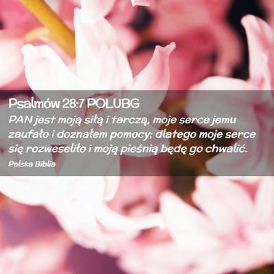 Picture 02 - Psalmów 28:7 POLUBG - PAN jest moją siłą i tarczą, moje serce jemu - Bible Verse Picture