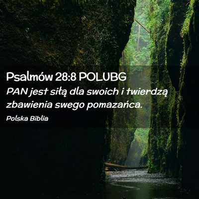 Picture 02 - Psalmów 28:8 POLUBG - PAN jest siłą dla swoich i twierdzą zbawienia - Bible Verse Picture