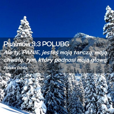 Picture 02 - Psalmów 3:3 POLUBG - Ale ty, PANIE, jesteś moją tarczą, moją - Bible Verse Picture