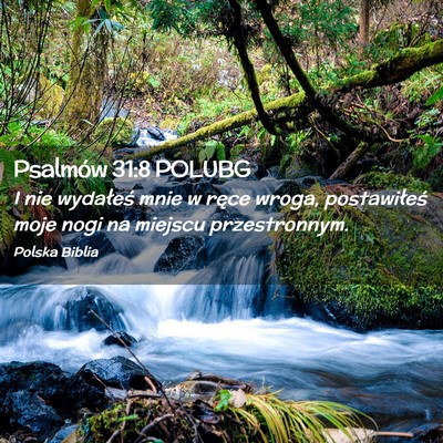 Picture 02 - Psalmów 31:8 POLUBG - I nie wydałeś mnie w ręce wroga, postawiłeś - Bible Verse Picture