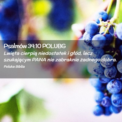 Picture 02 - Psalmów 34:10 POLUBG - Lwięta cierpią niedostatek i głód, lecz - Bible Verse Picture