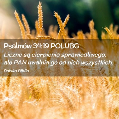 Picture 02 - Psalmów 34:19 POLUBG - Liczne są cierpienia sprawiedliwego, ale PAN - Bible Verse Picture