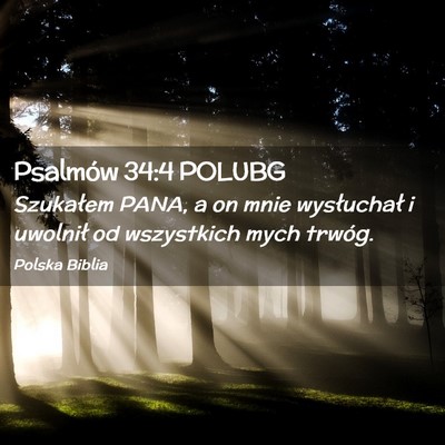 Picture 02 - Psalmów 34:4 POLUBG - Szukałem PANA, a on mnie wysłuchał i uwolnił - Bible Verse Picture