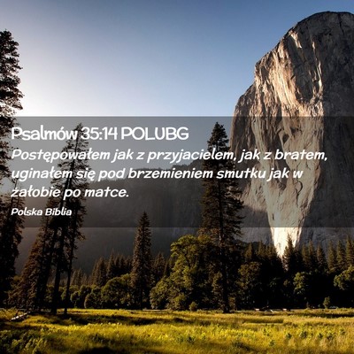 Picture 02 - Psalmów 35:14 POLUBG - Postępowałem jak z przyjacielem, jak z bratem, - Bible Verse Picture