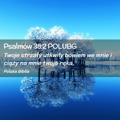 Picture 02 - Psalmów 38:2 POLUBG - Twoje strzały utkwiły bowiem we mnie i ciąży - Bible Verse Picture