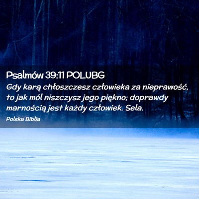 Picture 02 - Psalmów 39:11 POLUBG - Gdy karą chłoszczesz człowieka za - Bible Verse Picture