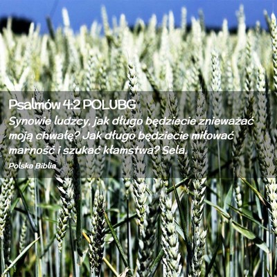 Picture 02 - Psalmów 4:2 POLUBG - Synowie ludzcy, jak długo będziecie znieważać - Bible Verse Picture