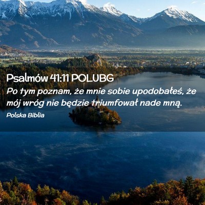 Picture 02 - Psalmów 41:11 POLUBG - Po tym poznam, że mnie sobie upodobałeś, że - Bible Verse Picture