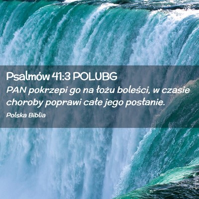 Picture 02 - Psalmów 41:3 POLUBG - PAN pokrzepi go na łożu boleści, w czasie - Bible Verse Picture